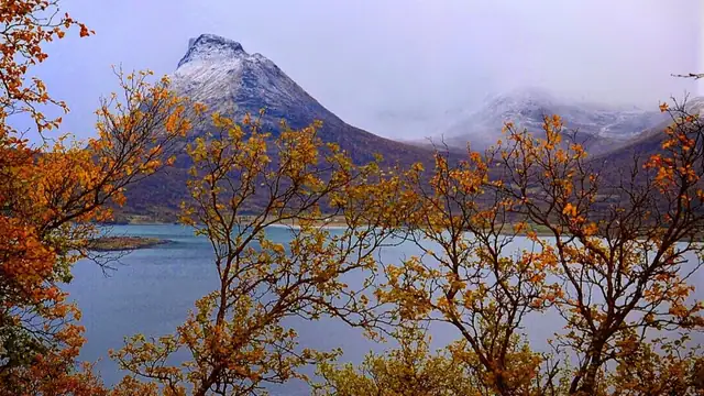 Haukøya 800 — bilde 2
