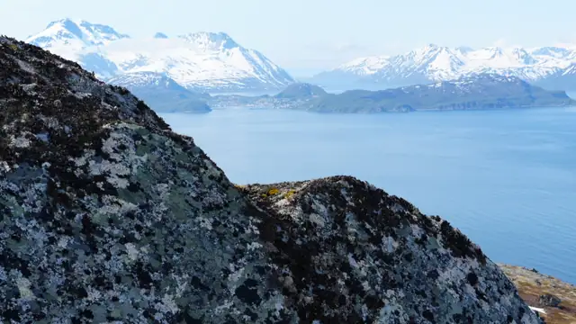Haukøya 800 — bilde 3