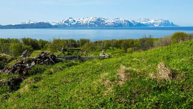 Haukøya 800 — bilde 5