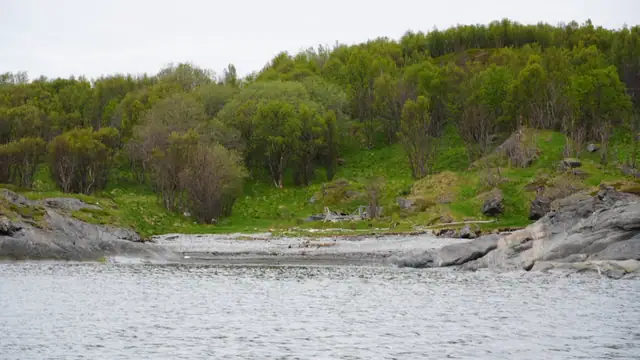 Haukøya 800 — bilde 7