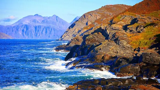 Haukøya 800 — bilde 8